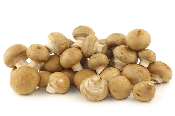 Bund Champignon-Pilze — Stockfoto