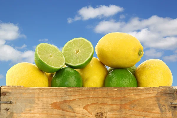 Fresh lemons and lime fruits and some cut ones in wooden crate — Stock Photo, Image