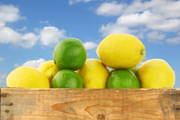 Fresh lemons and lime fruit in a wooden box — Stock Photo, Image