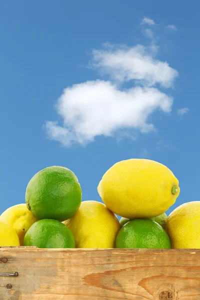 Fresh lemons and lime fruit in a wooden box — Stock Photo, Image