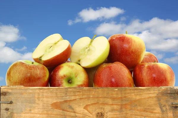 Bunch of braeburn apples and a cut one in a wooden crate — Stock Photo, Image