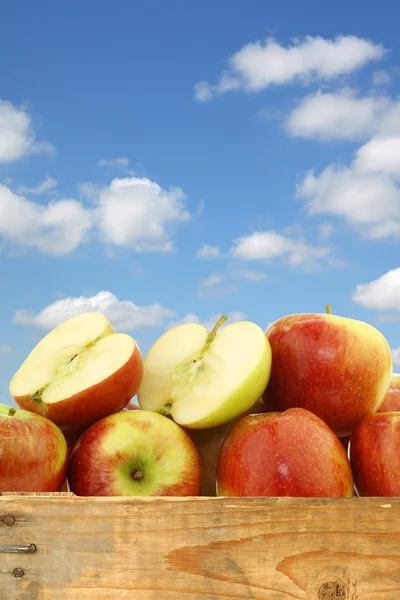Grono braeburn jabłka i pokroić, jeden w drewnianej skrzyni — Zdjęcie stockowe