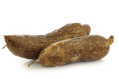 iki bütün manyok kökleri