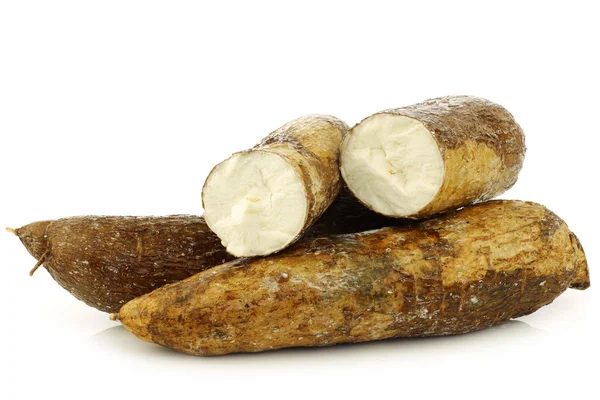 Racine de manioc et quelques morceaux — Photo