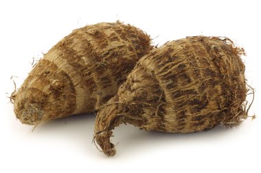 İki taze taro kök (colocasia)