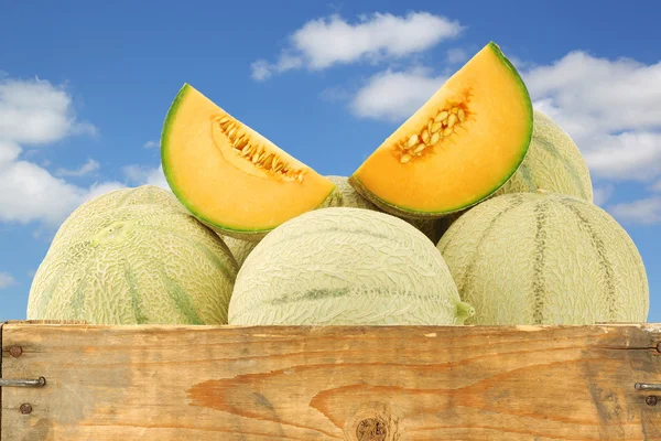 Verse cantaloupe-meloenen en sommige stukken gesneden — Stockfoto