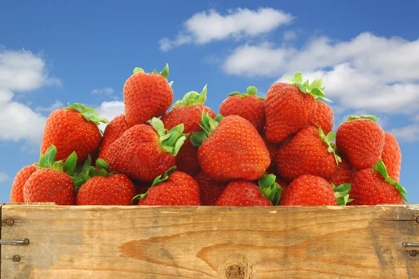 Bunch of fresh strawberries in a wooden crate — Stock Photo, Image