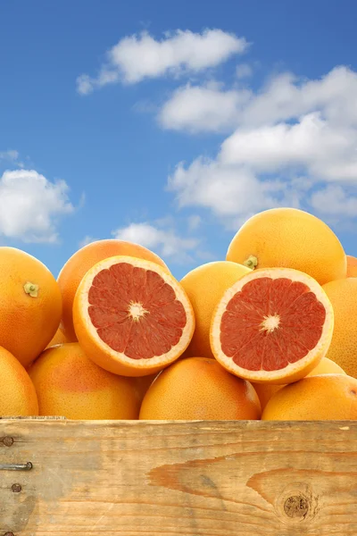 Fresh red grapefruits and a cut one in a wooden crate — Stock Photo, Image