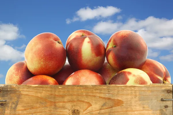 Fresh nectarines in a wooden crate — Stock Photo, Image