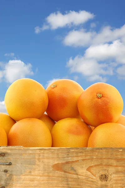 Massa röda grapefrukt i en trälåda — Stockfoto