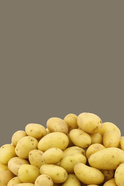 Ramo de patatas de siembra holandesas (krieltjes) sobre fondo marrón —  Fotos de Stock