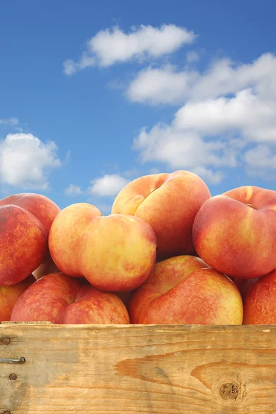 Verse wild (flat) nectarines in een houten krat — Stockfoto