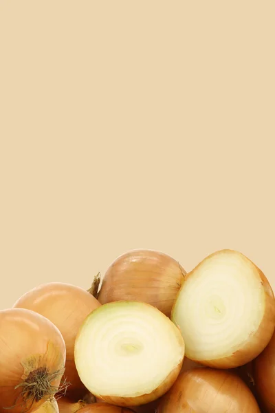 Frische Zwiebeln und eine geschnittene — Stockfoto