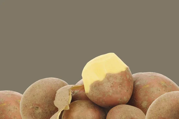 Freshly harvested dutch potatoes called "Bildtstar" and a peeled one — Stock Photo, Image