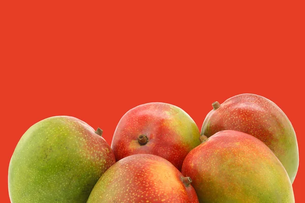 Frutas frescas de mango — Foto de Stock