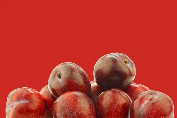 Fresh red plums — Stock Photo, Image