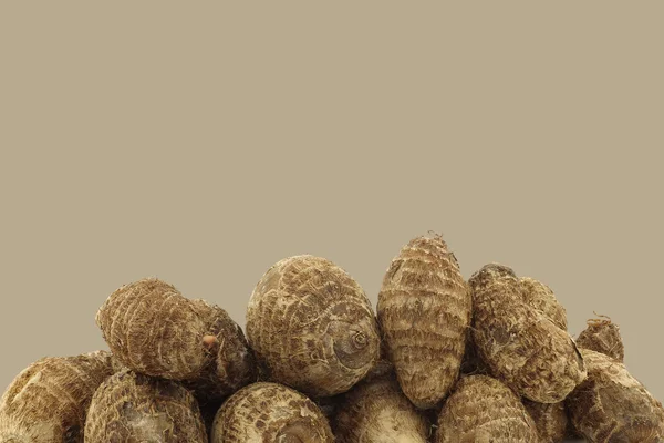 Fresh taro roots (colocasia) — Stock Photo, Image