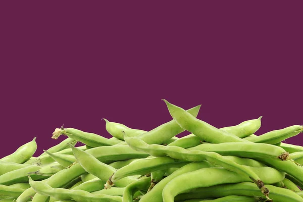 Bunch of broad beans — Stock Photo, Image