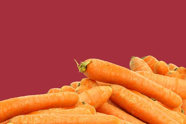 Un mucchio di carote fresche invernali — Foto Stock