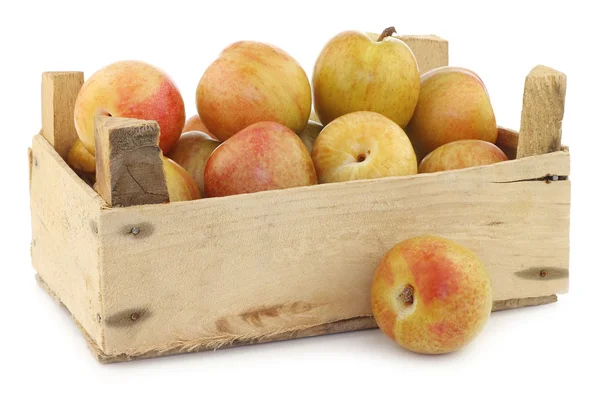 Fresh pluots (Prunus salicina - armeniaca) in a wooden crate — Stock Photo, Image