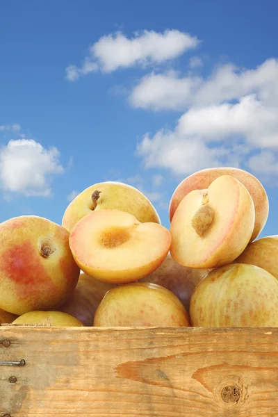 Pluots frescos (Prunus salicina - armeniaca) y uno cortado en una caja de madera —  Fotos de Stock