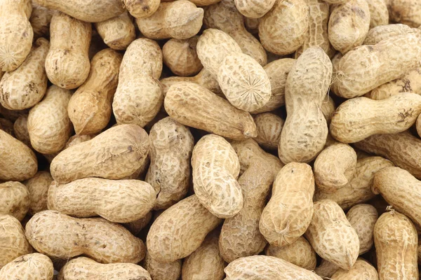 Freshly roasted peanuts — Stock Photo, Image