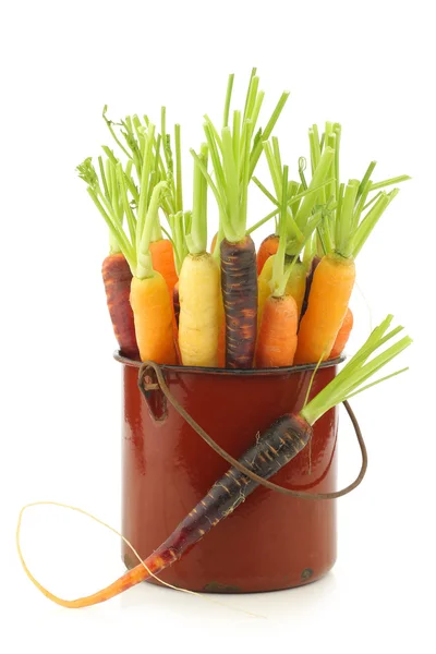 Свежая красочная смесь красной, оранжевой и желтой моркови с некоторой листвой в кастрюле для приготовления эмали — стоковое фото