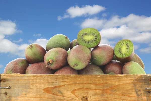 Bagas de kiwi frescas e um corte em uma caixa de madeira — Fotografia de Stock