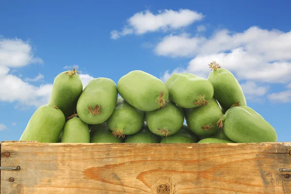 Freshly harvested kiwi berries in a wooden crate — Stock Photo, Image