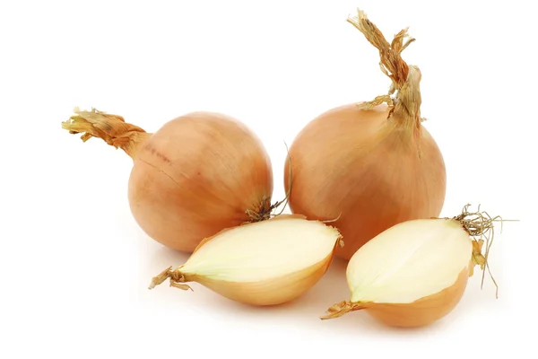 Two brown onions and a cut one — Stock Photo, Image