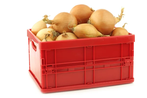 Bruin uien in een rode plastic doos — Stockfoto