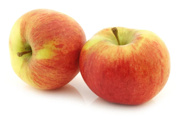 Nueva variedad de manzana holandesa llamada "Dalinco " —  Fotos de Stock