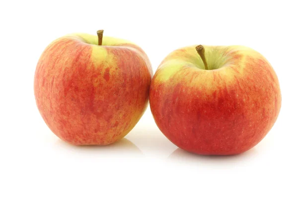Nova variedade de maçãs holandesas chamada "Dalinco " — Fotografia de Stock