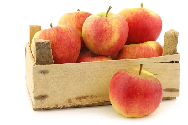 New Dutch apple variety called "Dalinco" in a wooden crate — Stock Photo, Image