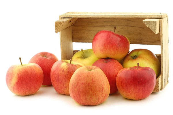 Nieuwe Nederlandse apple ras genaamd "dalinco" in een houten krat — Stockfoto