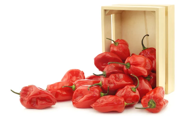 Pittige warme rode adjuma paprika's in een houten doos — Stockfoto