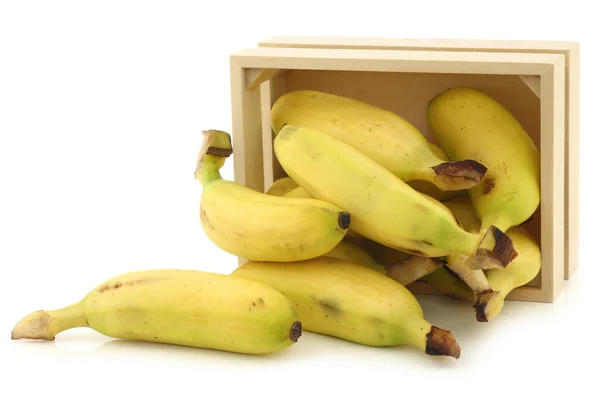 Fresh mini bananas in a wooden box — Stock Photo, Image