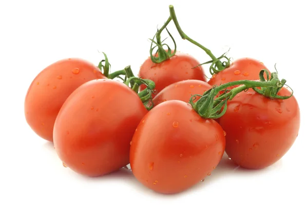 Свежие и красочные итальянские помидоры из сливы — стоковое фото