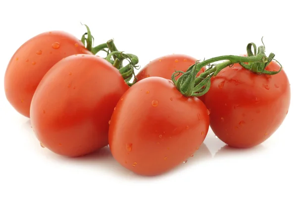 Tomates de ameixa italianos, frescos e coloridos — Fotografia de Stock