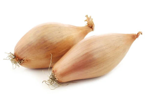 Fresh shallots — Stock Photo, Image