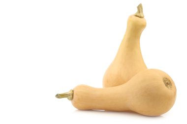 iki şişe şeklinde butternut kabak