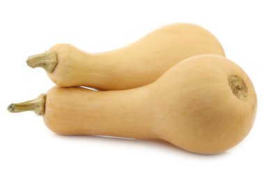 iki şişe şeklinde butternut kabak