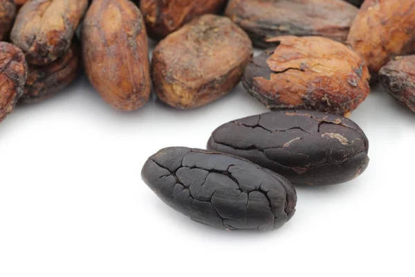 Kacang kakao kering — Stok Foto