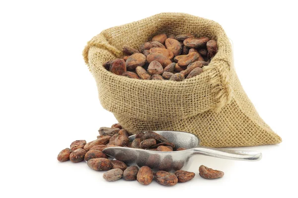 Fagioli di cacao in un sacchetto di iuta con un cucchiaio di alluminio — Foto Stock
