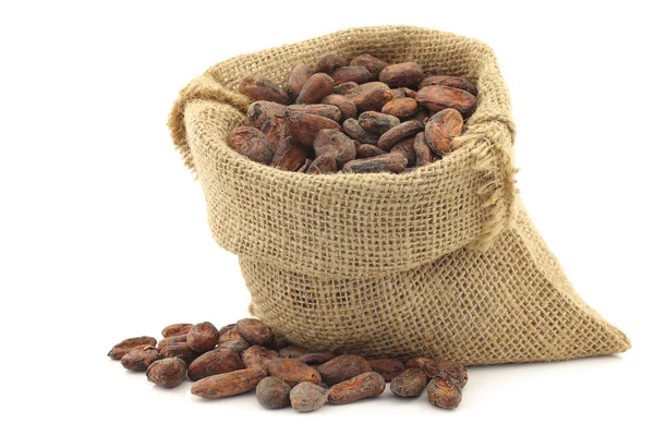 Kakao bönor i en säckväv säck — Stockfoto