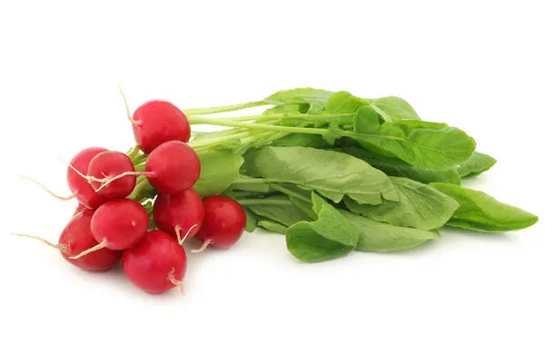 Red radish — Stock Photo, Image