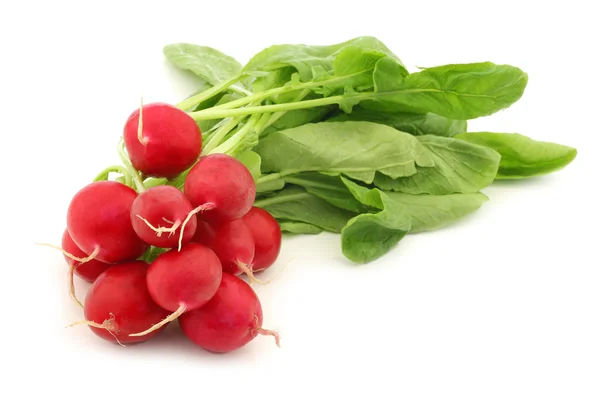 Winter radish and red radish — Stock Photo, Image