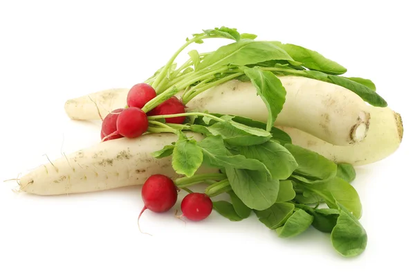 Winter radish and red radish — Stock Photo, Image