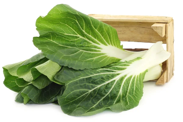 Fresh chinese paksoi in a wooden crate — Stock Photo, Image