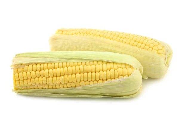 Свіжа кукурудза на коб — стокове фото